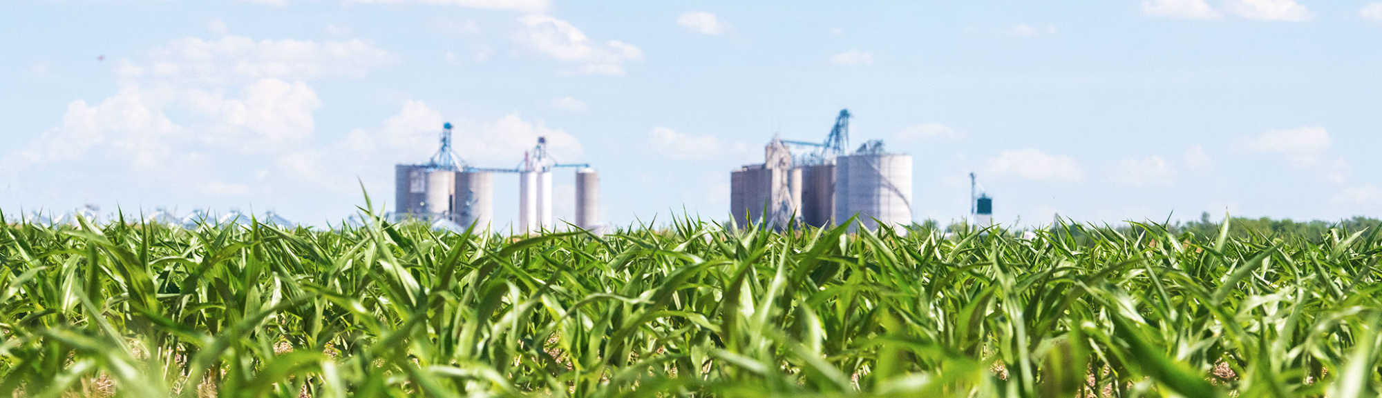 Farmers Coop Homepage